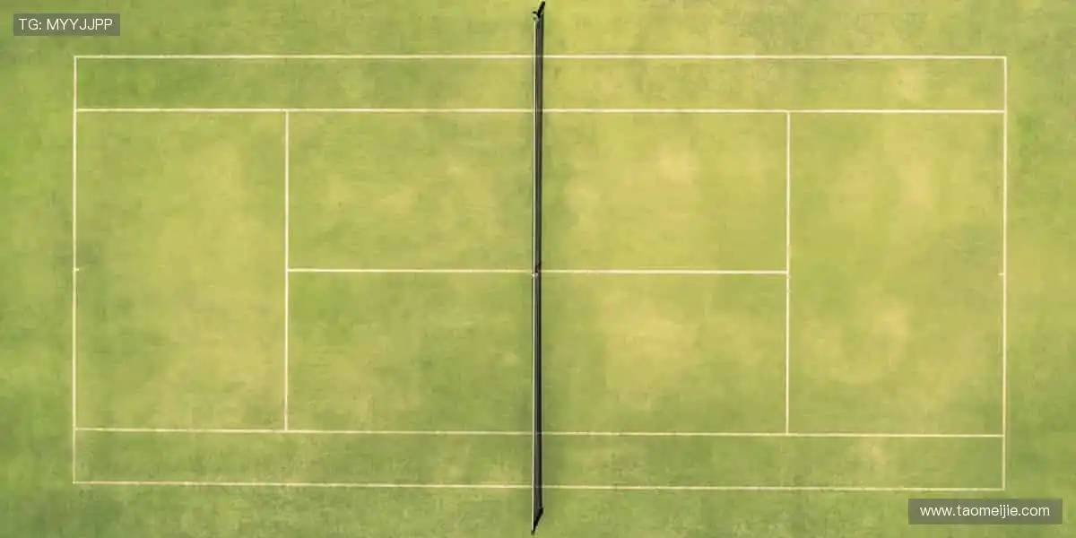 📱 指尖轻点,赛事同步全球!🌍